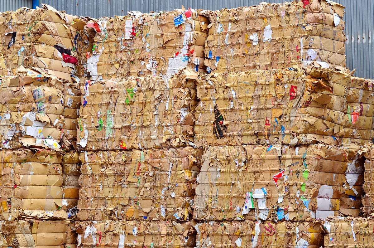 廢(fei)紙市場綜(zong)述：局部反(fan)彈與價格(ge)波動